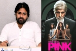 Pawan Kalyan next movie, Pawan Kalyan, powerstar in talks for pink remake, Pink remake