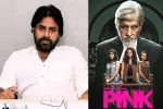 Pawan Kalyan, Pawan Kalyan next movie, powerstar in talks for pink remake, Pink remake Pawan Kalyan, Pawan Kalyan next movie, powerstar in talks for pink remake, Pink remake