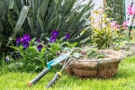 Plants that attract Snakes breaking, Snakes, five plants that attract snakes at home, Summer heat