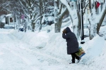 Polar Vortex, polar vortex in midwest, polar vortex extreme colds hits u s midwest 21 killed, Colds