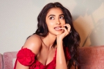 Pooja Hegde updates, Pooja Hegde, pooja hegde in talks for a biggie, Shahid kapoor