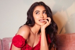 Pooja Hegde upcoming, Pooja Hegde updates, pooja hegde in talks for a biggie, Ssmb28