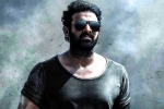 Prithviraj Sukumaran in Salaar, Prabhas, prabhas salaar to have malayalam star, Shruthi haasan