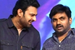 Prabhas, Prabhas and Maruthi film release date, new title for prabhas and maruthi film, Nidhhi agerwal