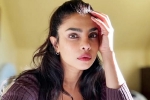 Priyanka Chopra latest, Priyanka Chopra Don't Look For Virgin Wife, priyanka chopra breaks silence on don t look for virgin wife comment, Priyanka chopra