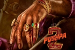 Allu Arjun, Pushpa: The Rule release date, allu arjun s dedication for pushpa the rule, Anasuya