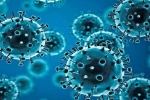 USA, R.1 Coronavirus, r 1 variant of coronavirus traced in 35 countries, Coronavirus usa