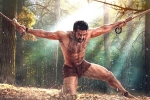 SS Rajamouli, NTR, rrr 22 days collections, Shriya saran SS Rajamouli, NTR, rrr 22 days collections, Shriya saran