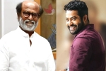 Rajinikanth and NTR latest updates, Puneeth Rajkumar, rajinikanth and ntr coming for kannada rajyotsava, Puneeth rajkumar Rajinikanth and NTR latest updates, Puneeth Rajkumar, rajinikanth and ntr coming for kannada rajyotsava, Puneeth rajkumar