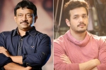 Ram Gopal Varma news, Annapurna Studios, ram gopal varma to direct akhil, Rgv twitter
