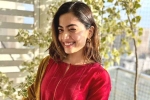 Rashmika Mandanna, Rashmika Mandanna new movie, rashmika mandanna bags one more biggie, Gautam tinnanuri