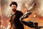 Saaho updates, Saaho latest, saaho ten days telugu states collections, Mandira bedi