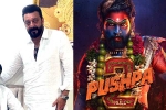 Pushpa: The Rule release news, Pushpa: The Rule latest updates, sanjay dutt s surprise in pushpa the rule, Sanjay dutt