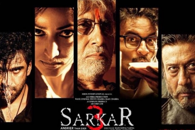 Sarkar 3 Hindi Movie