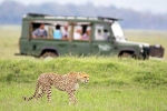 South African Safari Trip, South African Safari Trip total days, how to plan your south african safari trip, Walk