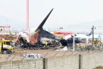 South Korea Plane Crash reason, South Korea Plane Crash deaths, pilot made mayday call and mentioned bird strike in south korea plane crash, Kidding