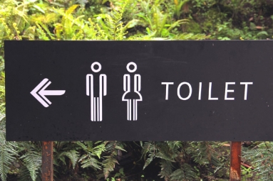 6 Things You Should Never Do in a Public Toilet 6 Things You Should Never Do in a Public Toilet