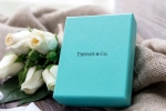 Tiffany Partners with Asia’s Richest Man, american jeweler tiffany, tiffany partners with asia s richest man to enter indian market, Tiffany co Tiffany Partners with Asia’s Richest Man, american jeweler tiffany, tiffany partners with asia s richest man to enter indian market, Tiffany co