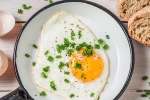 weight, healthy, top 5 benefits of eggs that ll make you to eat them every day, Calories