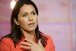tulsi gabbard apologizes, tulsi gabbard for presidential election, tulsi gabbard apologizes for her past statement on lgbtq, Hurtful