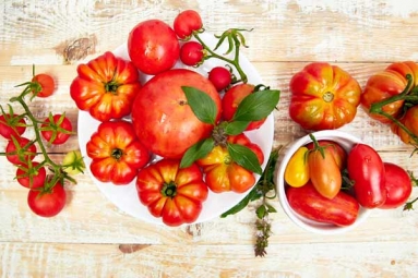 Popular Types Of Tomatoes You Should Know About