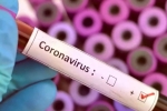 Vaccine for coronavirus, Cure for coronavirus, who warns covid 19 may never go away then what s the future of the world, Us federal reserve Vaccine for coronavirus, Cure for coronavirus, who warns covid 19 may never go away then what s the future of the world, Us federal reserve