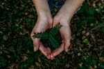 sustainable, earth, what can you do to save earth, New born