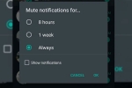 wallpaper, chats, whatsapp to bring always mute option for chats on android, Wallpapers