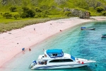 Pink Beach in Indonesia list, Pink Beach in Indonesia list, which pink beach should you visit in indonesia, Trips