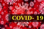 COVID- 19, Coronavirus, who renames the deadly coronavirus as covid 19, Snakes