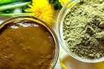 Henna conditioner, Henna for hair, how henna helps for hair growth and health, Ayurvedic