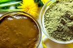 Henna new updates, Henna colour, how henna helps for hair growth and health, Henna for hair