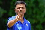 Rahul Dravid breaking news, Rahul Dravid latest, rahul dravid to lead team india as head coach, Anil kumble Rahul Dravid breaking news, Rahul Dravid latest, rahul dravid to lead team india as head coach, Anil kumble