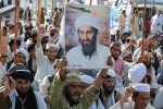 Bin Laden death breaking news, Bin Laden breaking news, bin laden continues to mobilize jihadists ten years after his death, Al qaeda