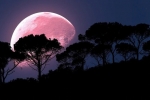 supermoon, super pink moon, april s super pink moon to rise today biggest of the year, Super pink moon