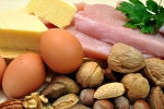 tissues, protein rich foods, why protein is an important part of your healthy diet, Amino acids