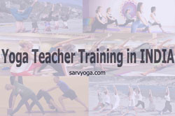 Yoga teacher training in india