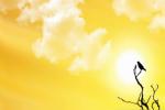 Friday is the longest day, Friday is the longest day of the year, friday is the longest day of the year, Dubai news