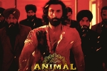 Animal Filmfare, Animal latest breaking, record breaking nominations for animal, Vishal