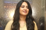 Anushka next movie, Anushka upcoming projects, anushka s next project updates, Sundeep kishan