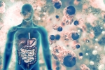 coronavirus, pulmonary manifestations, covid 19 can affect almost all organs experts at aiims, Padma shri
