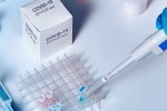 sars-cov-2, covid-19, studies find the incidence of covid 19 reinfection is low, Monkeys