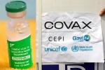 COVAX updates, COVAX news, sii to resume covishield supply to covax, Covax