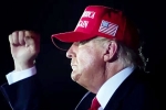 Donald Trump breaking news, Donald Trump updates, donald trump s first promise keeps the stocks tumbling, Solar energy