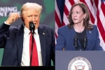 Donald Trump Vs Kamala Harris comments, Donald Trump Vs Kamala Harris statement, donald trump calls kamala harris is married to a jewish man, Fbi