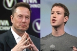 Elon Musk Vs Mark Zuckerberg breaking, Elon Musk, elon musk vs mark zuckerberg rivalry, Lol