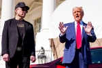 China Tariffs, Elon Musk, elon musk asks donald trump to reverse china tariffs, Elon musk
