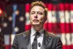 Donald Trump at Pennsylvania, US elections, is elon musk in the trump cabinet, Social engineering