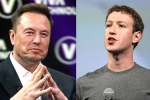 Elon Musk and Mark Zuckerberg latest, Elon Musk and Mark Zuckerberg, elon vs zuckerberg mma fight ahead, Mark zuckerberg