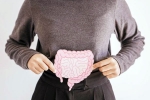 Gut Vs Skin health, Gut Vs Skin bad, your gut decides about your skin, Guru